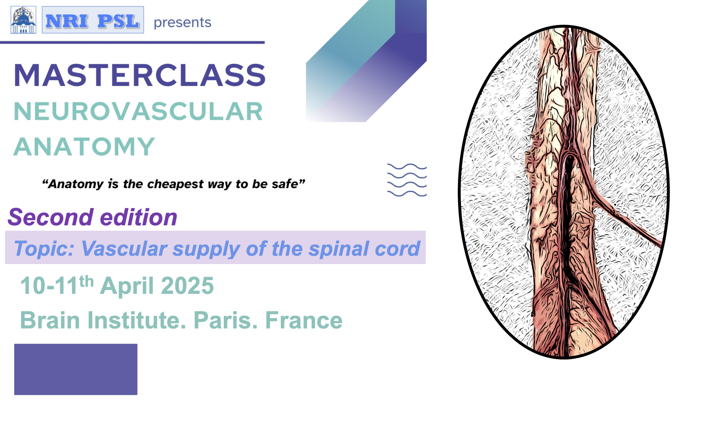  Flyer MasterClass d’anatomie neurovasculaire