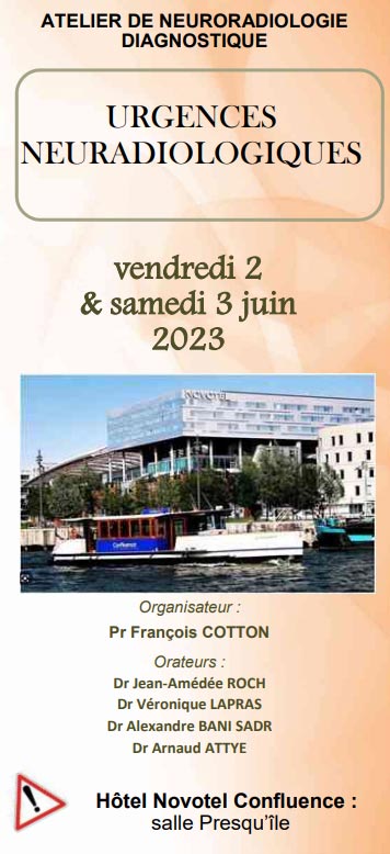 Atelier de neuroradiologie Lyonnais 2023